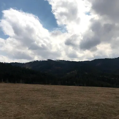 Apartment Lukovic Zlatibor