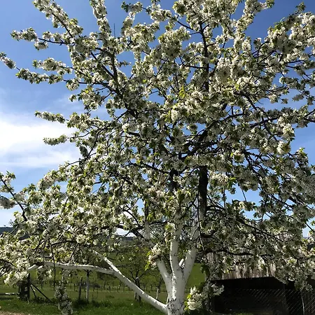 Lukovic Apartment Zlatibor