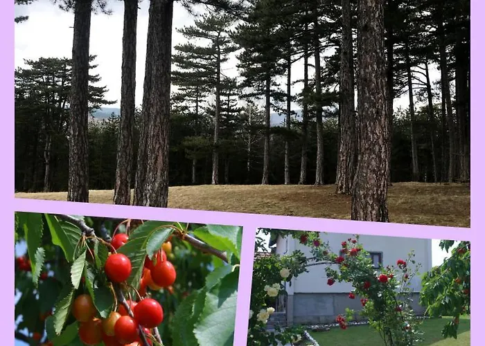 Lukovic Apartment Zlatibor