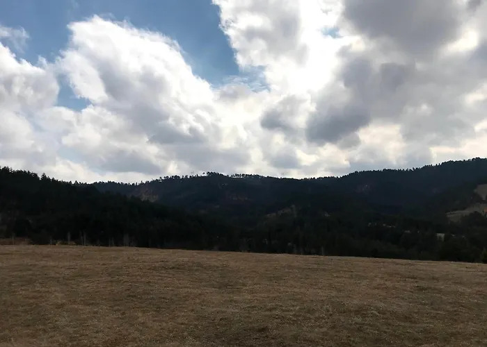 Apartment Lukovic Zlatibor