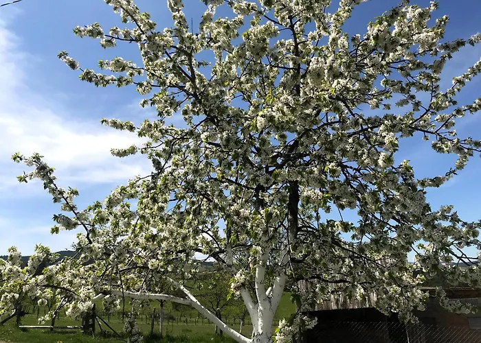 Lukovic Apartment Zlatibor